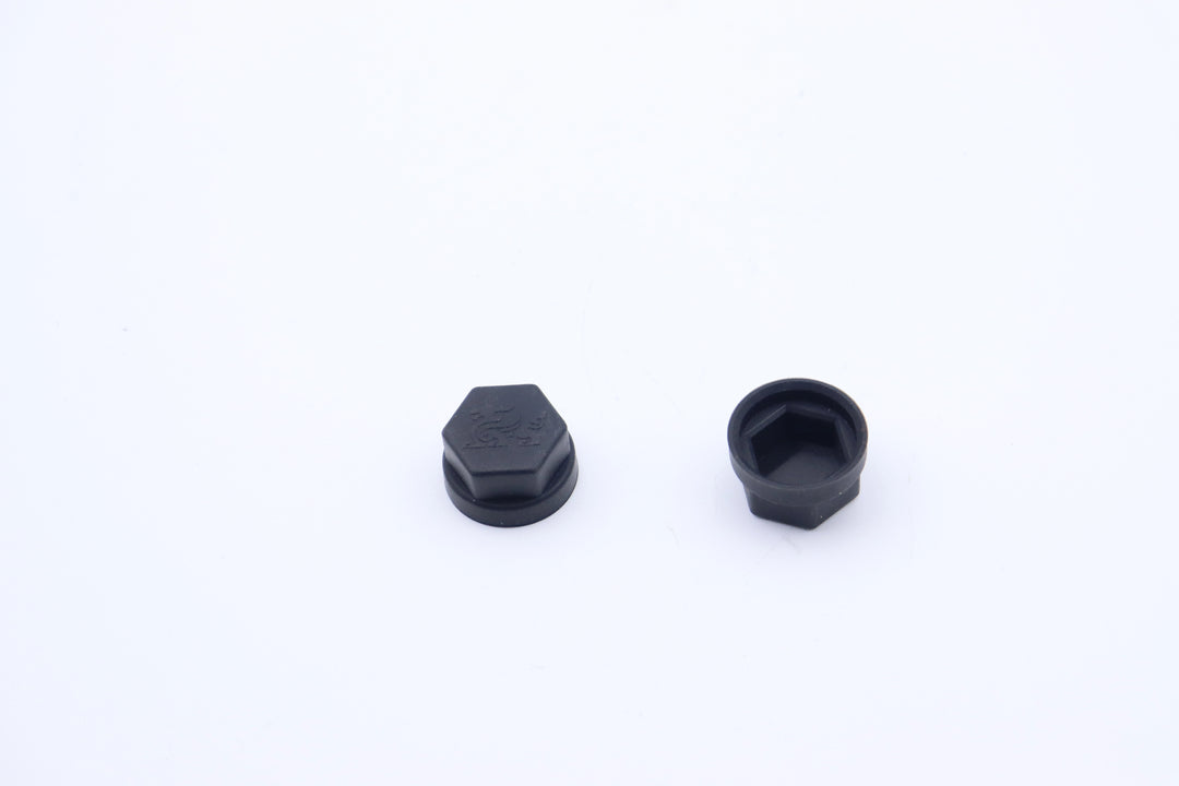 Motor shaft nut plug